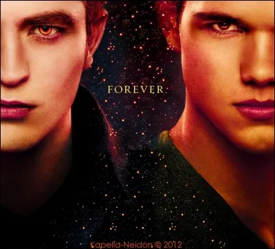 Que sont Edward et Jacob ?