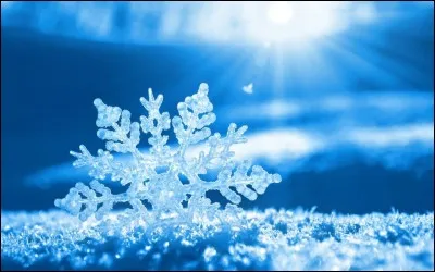 En argot, que désigne le terme "neige" ?