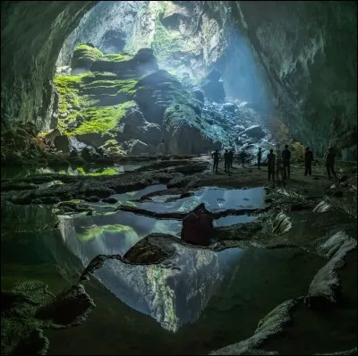 Quel animal peut dormir dans une grotte ?