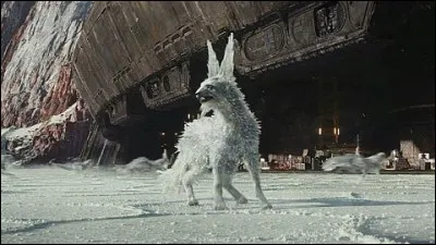 Quelles sont les créatures qui montrent la sortie de la nouvelle base aux rebelles ?