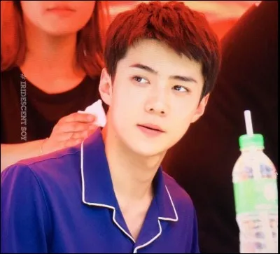 Sehun est apparu torse nu en 2017, dans quel magazine ?