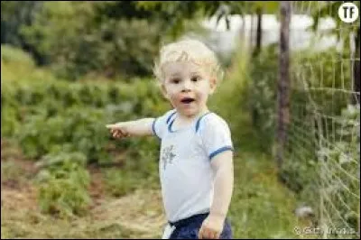 Le philosophe Ab&eacute;lard et son &eacute;l&egrave;ve H&eacute;lo&iuml;se ont eu un enfant. Comment l'ont-ils pr&eacute;nomm&eacute; ?