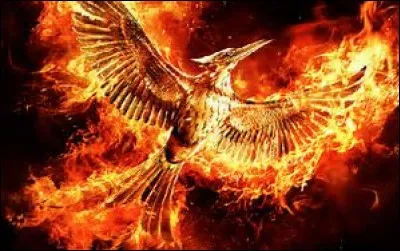 Comment se nomme l'insigne de la révolution ?