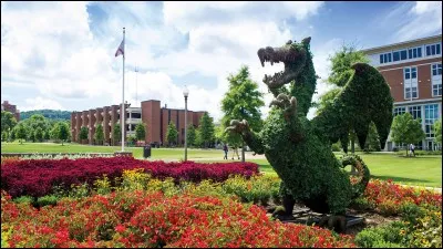 Quelle est cette université ?