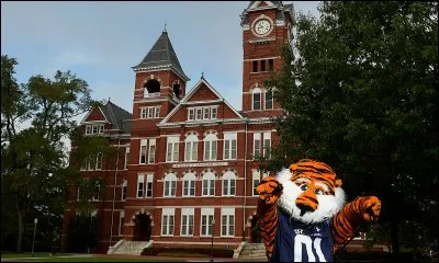 Quelle est cette université ?