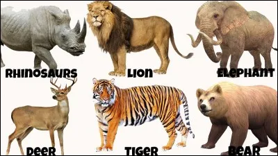 Quel animal représente Baba ?