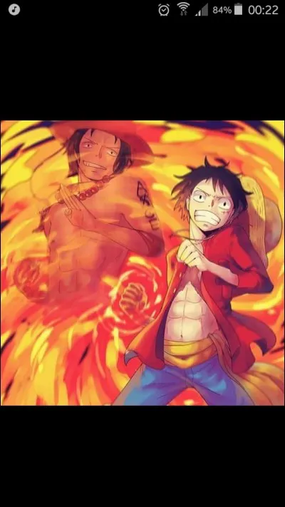 Quel type de Haki possède Luffy ?