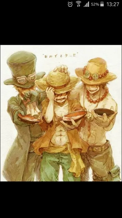 Qui sont Ace et Sabo pour Luffy ?