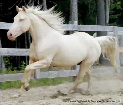 Quelle est cette robe ?