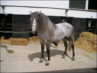 Quelle est cette robe ?