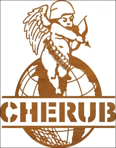 Par quel moyen est-il recruté à Cherub ?