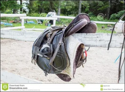 Quel est l'intrus dans les parties de la selle ?