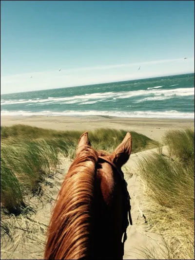 La plupart des cavaliers pratique l'équitation pour ...