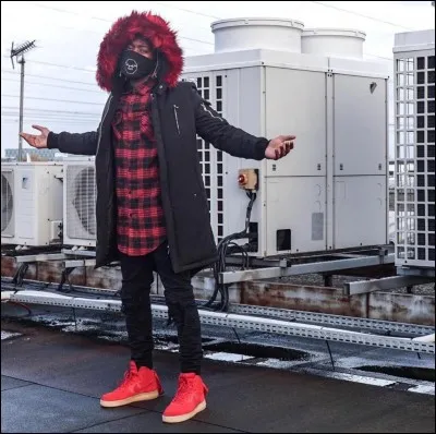 Combien a-t-il d'abonnés ? (janvier 2018)