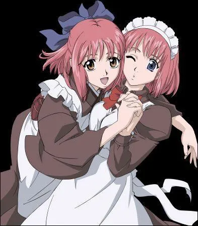 De quelle srie viennent-elles ?