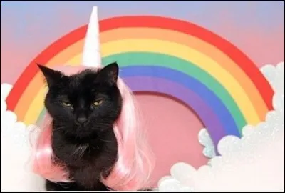 Quel est ton animal féerique préféré ?