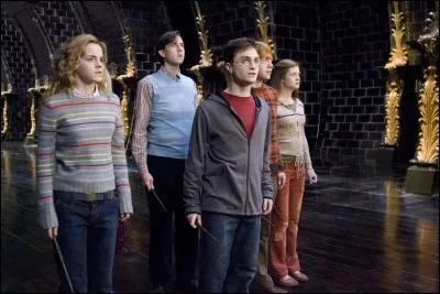 Quels acteurs interprètent Harry, Ron, Hermione, Ginny, Luna et Neville au cinéma ?