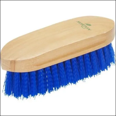 Quel nom porte cette brosse ?