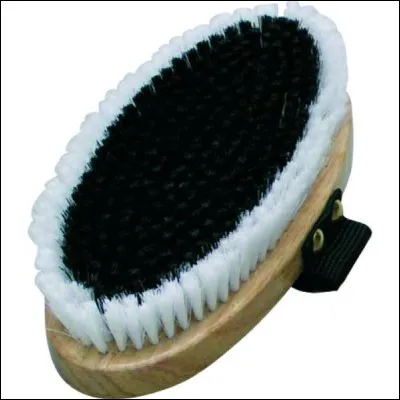 Quel nom porte cette brosse ?