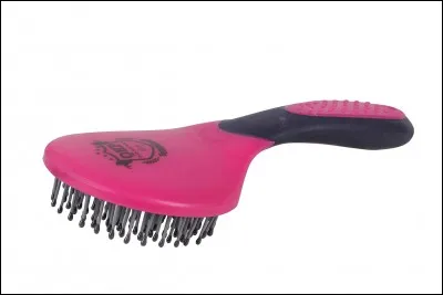 Quel nom porte cette brosse ?
