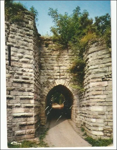 A Château-Thierry, cette porte s'appelle ...