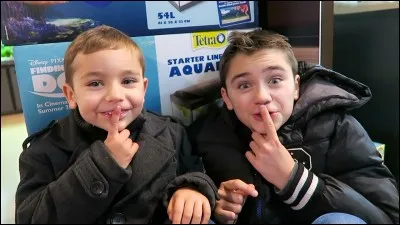 Ont-ils fait une vidéo de Noël ?