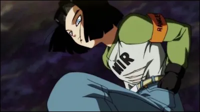 Qui est la 1re victime de C17 ?