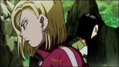 Combien de fois C17 et C18 ont-ils fait des attaques cordonnées dans Dragon Ball Super ?