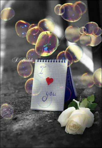 Mimi devient triste face à toute cette misère :