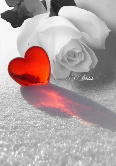 Mais ses copains l'invitent en vacances aux sports d'hiver ! On part demain !