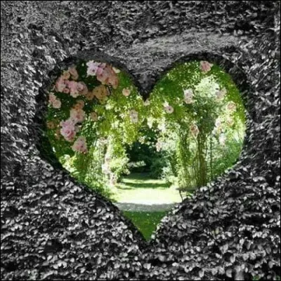 Loulou se doute qu'il l'a quittée pour sa meilleure amie. Elle va donc le suivre pour :