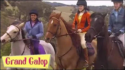 Qui sont les chevaux qui sont morts ou qui ont failli se faire tuer ?