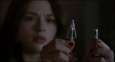 Quel est le nom de la famille de chasseurs ?