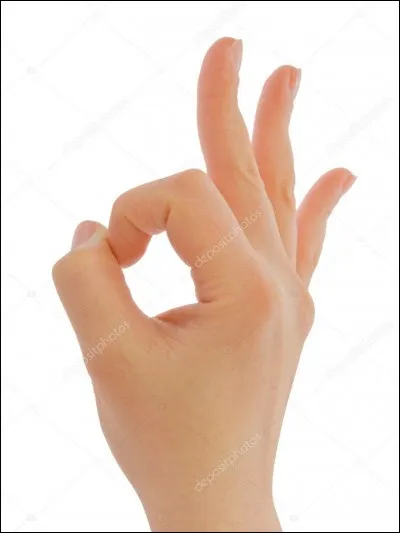 Comment passez-vous une journée idéale ?