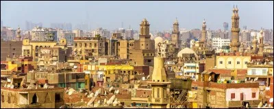 Le Caire est la capitale de/du :