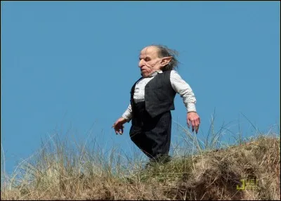 HP7 : que mange Gripsec à la Chaumière aux Coquillages ?