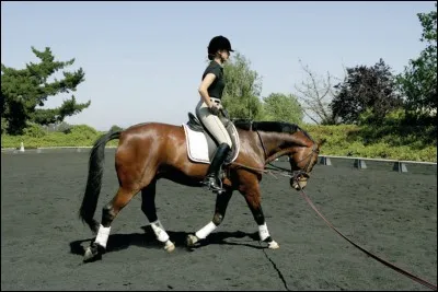 Le trot est une allure :