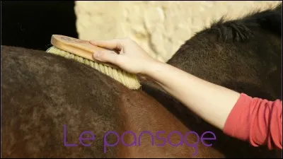 Le pansage s'effectue dans quel sens : 
1= brosse douce, 2= cure-pied, 3= étrille, 4= bouchon ?