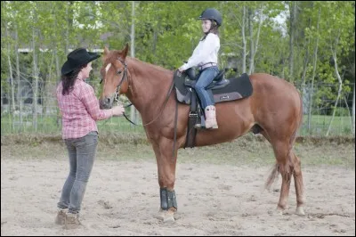 Les diplômes du moniteur sont ...