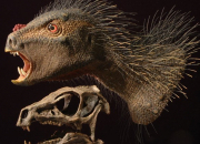 Quiz Les caractristiques communes des dinosaures