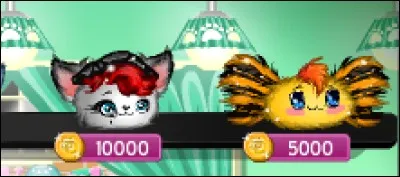 Quel boonie coûte le plus cher ?