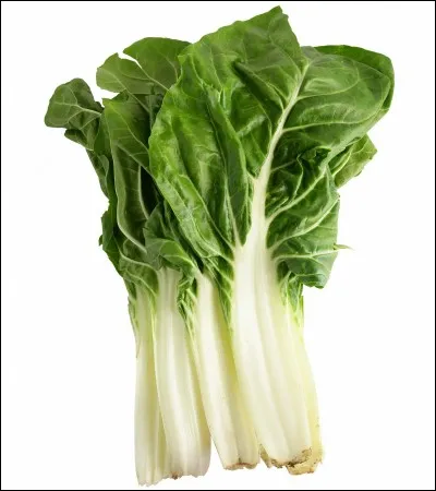 Quel est le nom de ce l&eacute;gume ?
