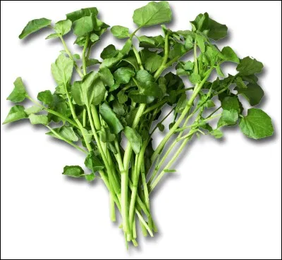 Quel est le nom de ce l&eacute;gume?