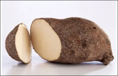 Quel est le nom de ce l&eacute;gume?