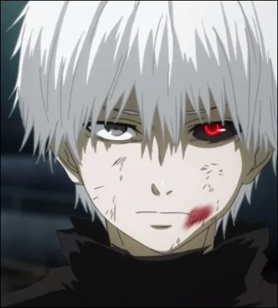 Comment Kaneki Ken va-t-il être appelé après avoir perdu la mémoire ?