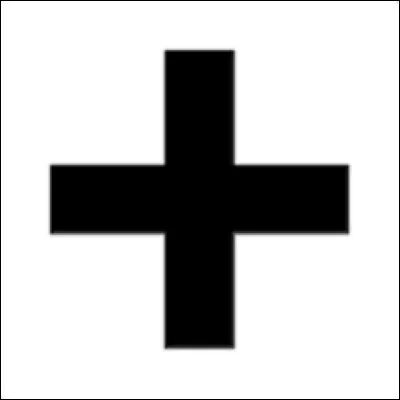 Quelle est ta principale qualité ?