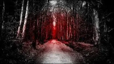 Qu'est-ce qui t'attire le plus parmi ces choix ?