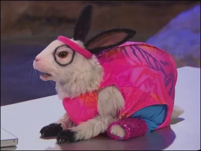 Pourquoi est-il transformé en lapin ?