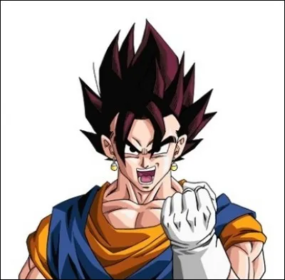 Comment s'appelle la fusion Potara de Gokû et Vegeta ?