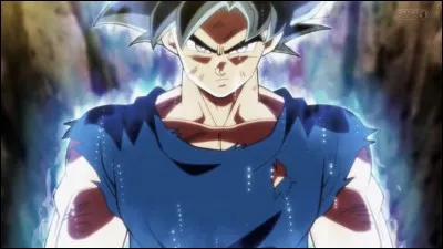 Dans l'arc "Survie de l'univers" de "Dragon Ball Super", comment s'appelle la nouvelle forme de Son Gokû ?